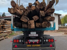 Norddeutsche Deckenbalken- eine lokale Spezialität