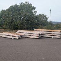 Historische Eichenbalken, Roteiche