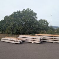 Historische Eichenbalken, Roteiche