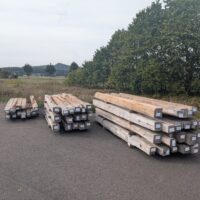 Historische Eichenbalken, Roteiche